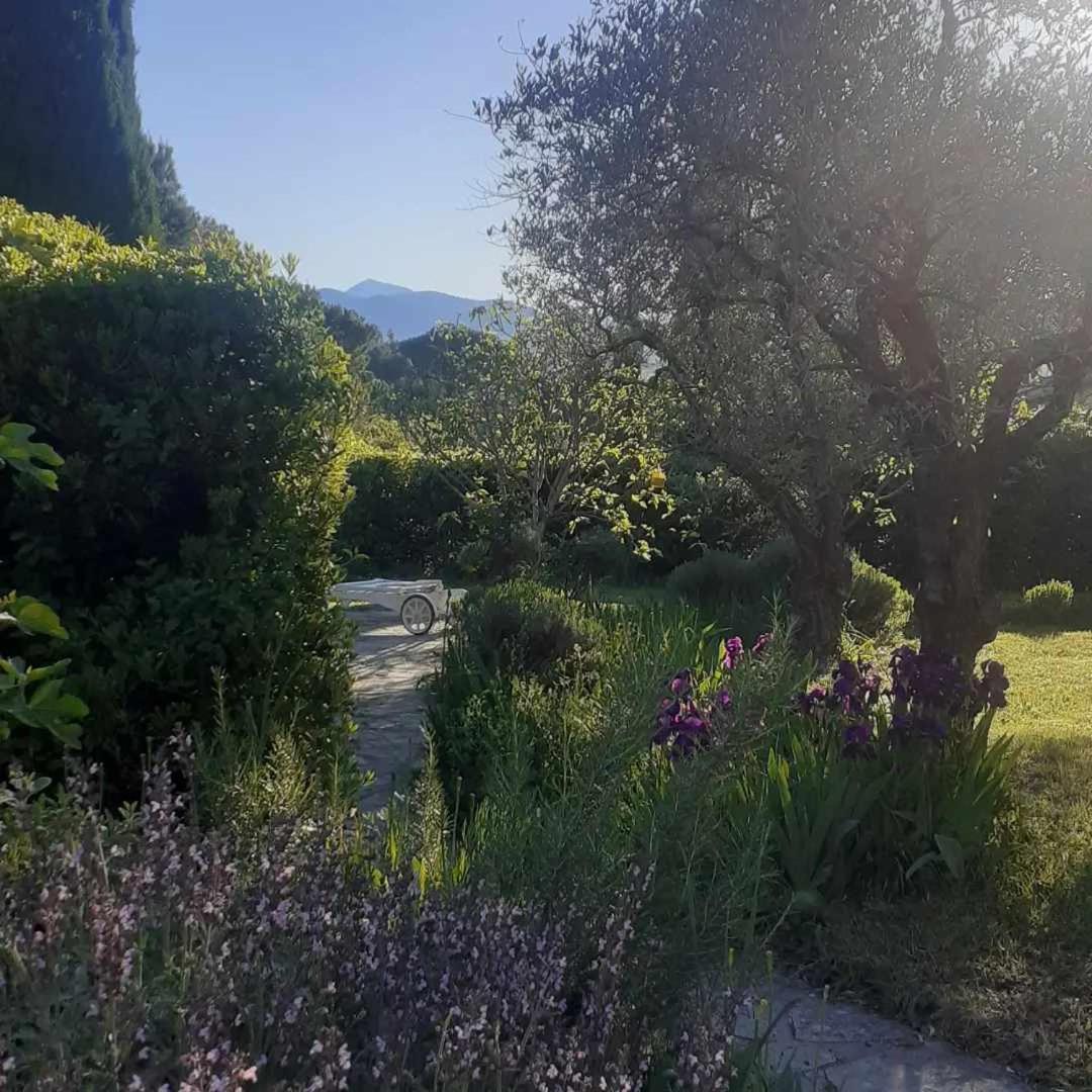 Les Verveines De Vaison Exterior foto