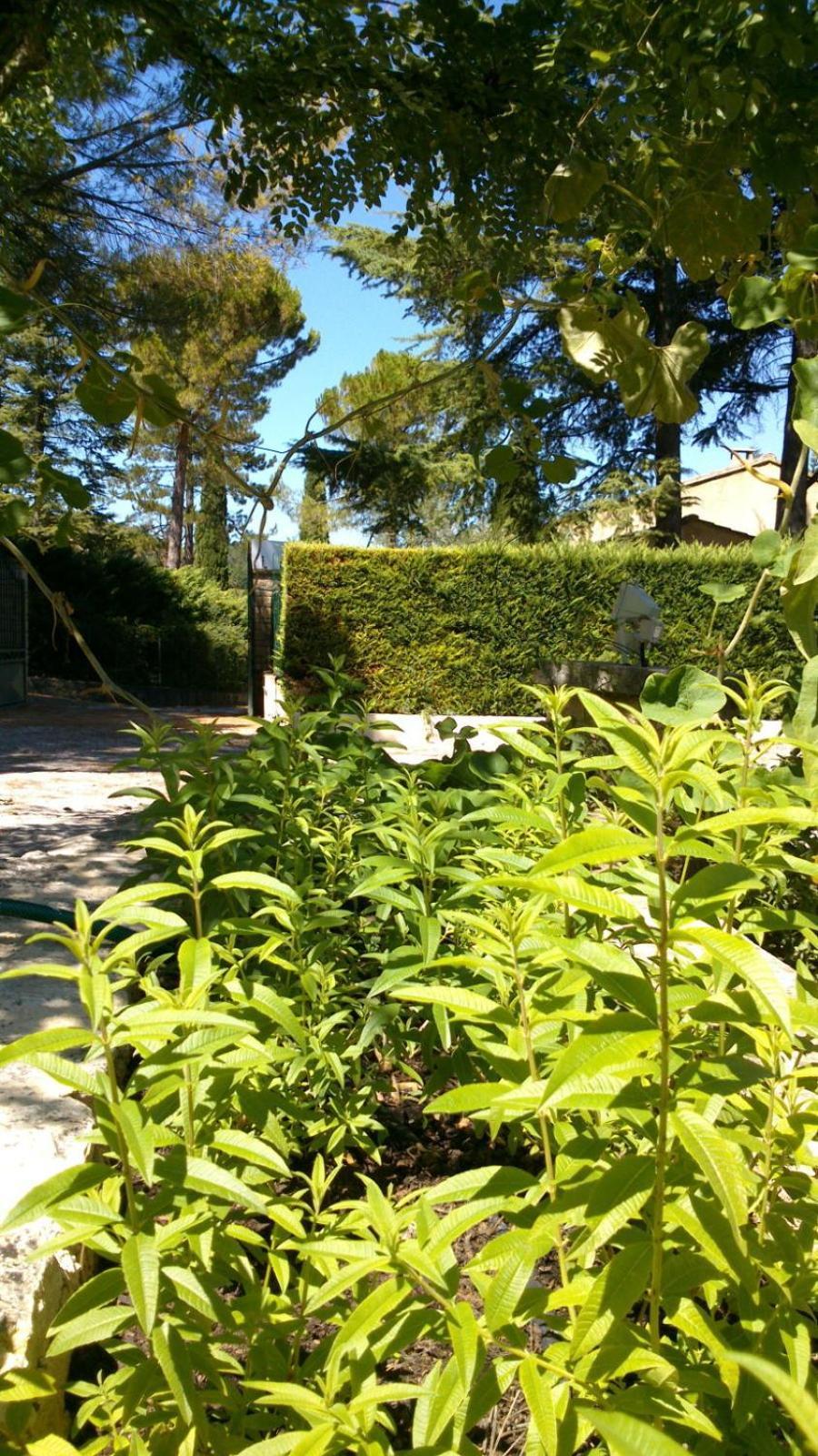 Les Verveines De Vaison Exterior foto