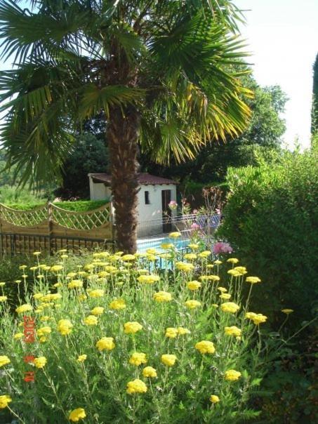 Les Verveines De Vaison Exterior foto